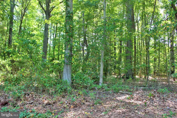 a view of outdoor space and green space