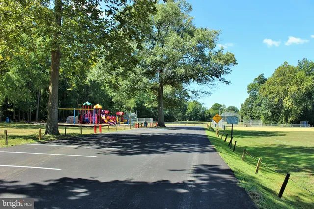 a view of a park with large trees