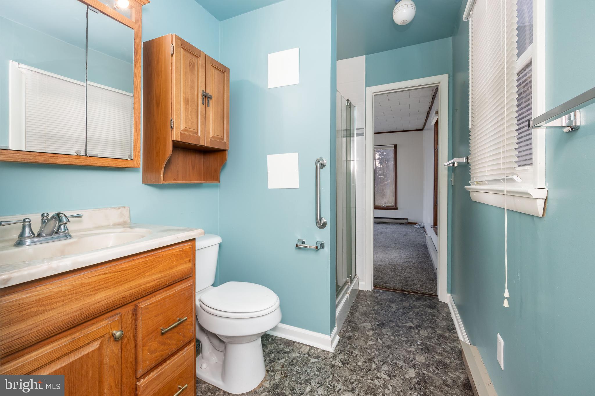 310 Zion Road Salisbury, MD 21804 - Photo 31 of 40 a bathroom with a granite countertop sink a toilet and shower