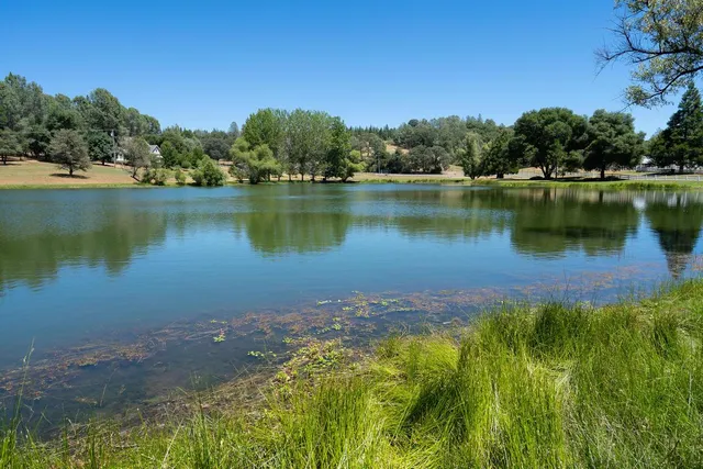 a view of lake with green space