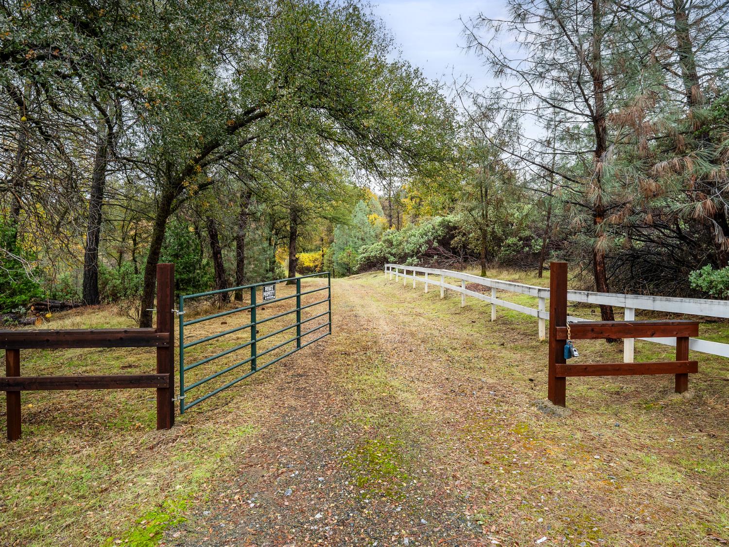 2639 Gold Court Placerville, CA 95667 - Photo 5 of 73