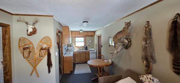 $349,900 | 8640 Highway 11, Baudette, MN 56623