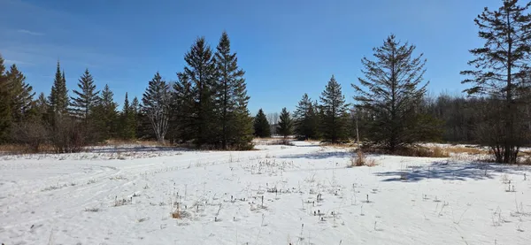 $349,900 | 8640 Highway 11, Baudette, MN 56623