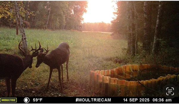 $349,900 | 8640 Highway 11, Baudette, MN 56623