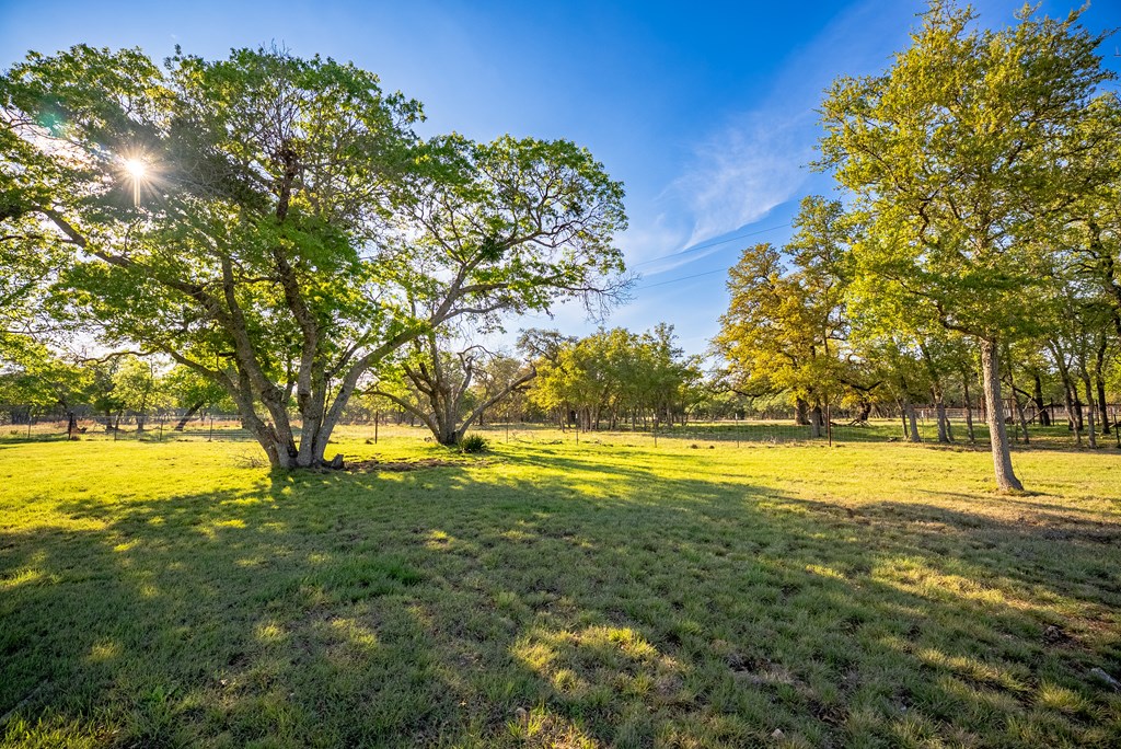 2873 Ranch Road Fredericksburg, TX 78624 - Photo 10 of 58