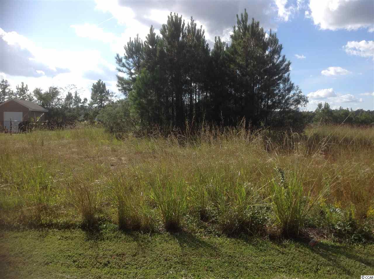 Lot 97 Rambler Court Myrtle Beach, SC 29588 - Photo 1 of 1 Gallery Image 1