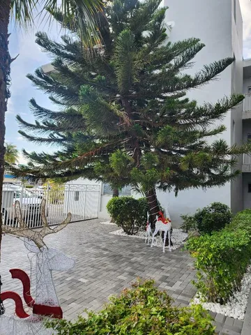 a view of a backyard with a garden