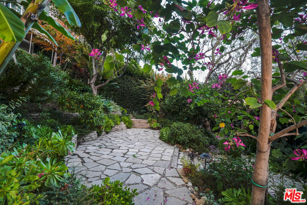 3116-unit A Johnston Street Los Angeles, CA 90031 - Photo 11 of 13 a picture of flowers