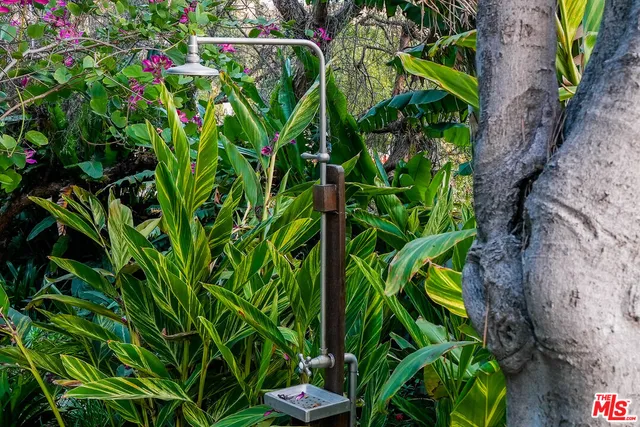 a picture of flowers