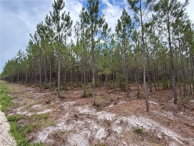 $40,725 | 2 Corbitt Road, Manor, GA 31550