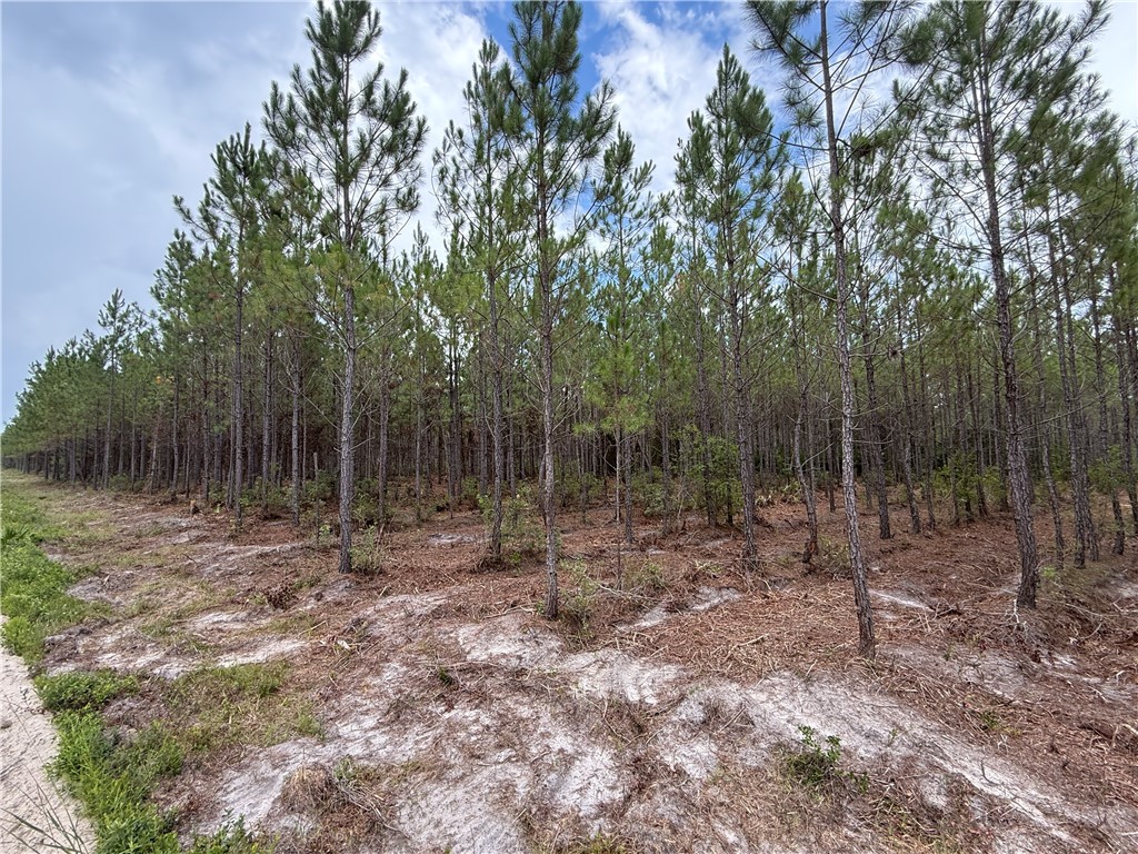 2 Corbitt Road Manor, GA 31550 - Photo 2 of 7