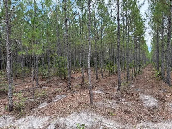 $37,500 | 2 Corbitt Road, Manor, GA 31550