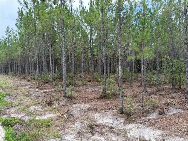 $40,725 | 2 Corbitt Road, Manor, GA 31550