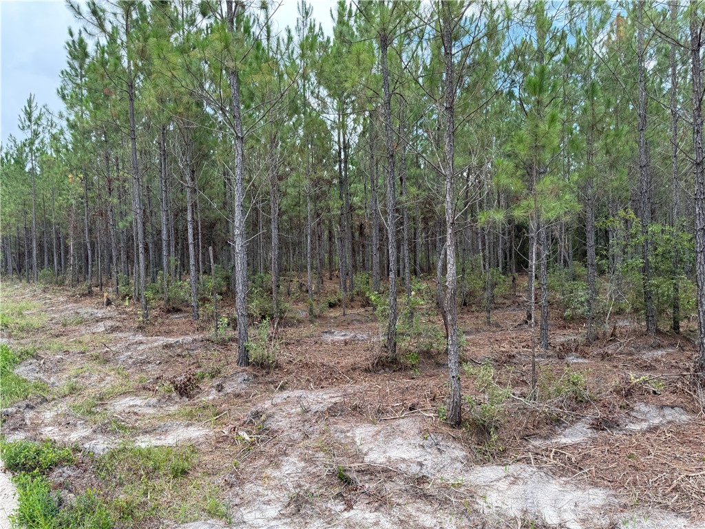 2 Corbitt Road Manor, GA 31550 - Photo 4 of 7