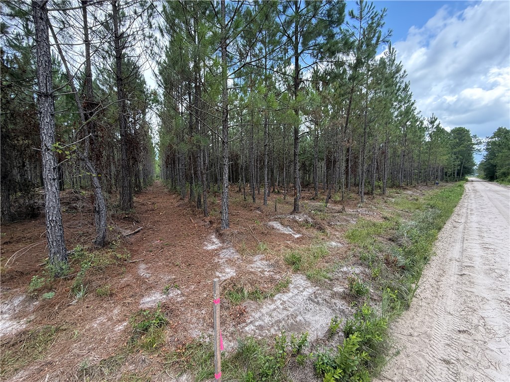 2 Corbitt Road Manor, GA 31550 - Photo 5 of 7