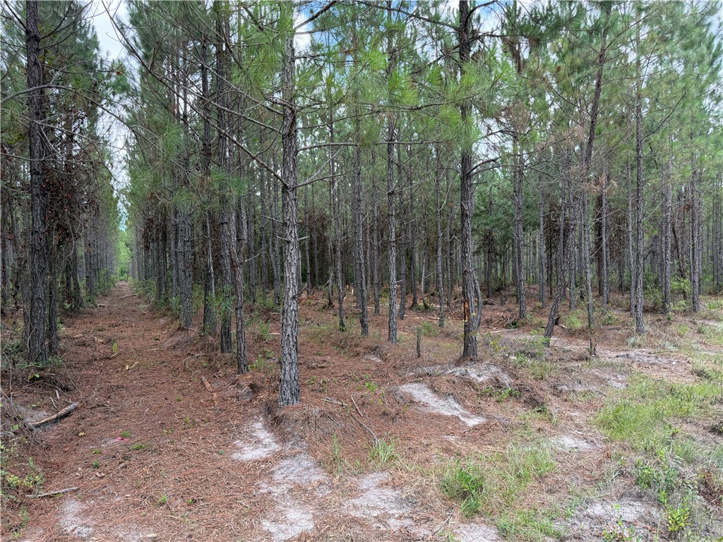 2 Corbitt Road Manor, GA 31550 - Photo 6 of 7