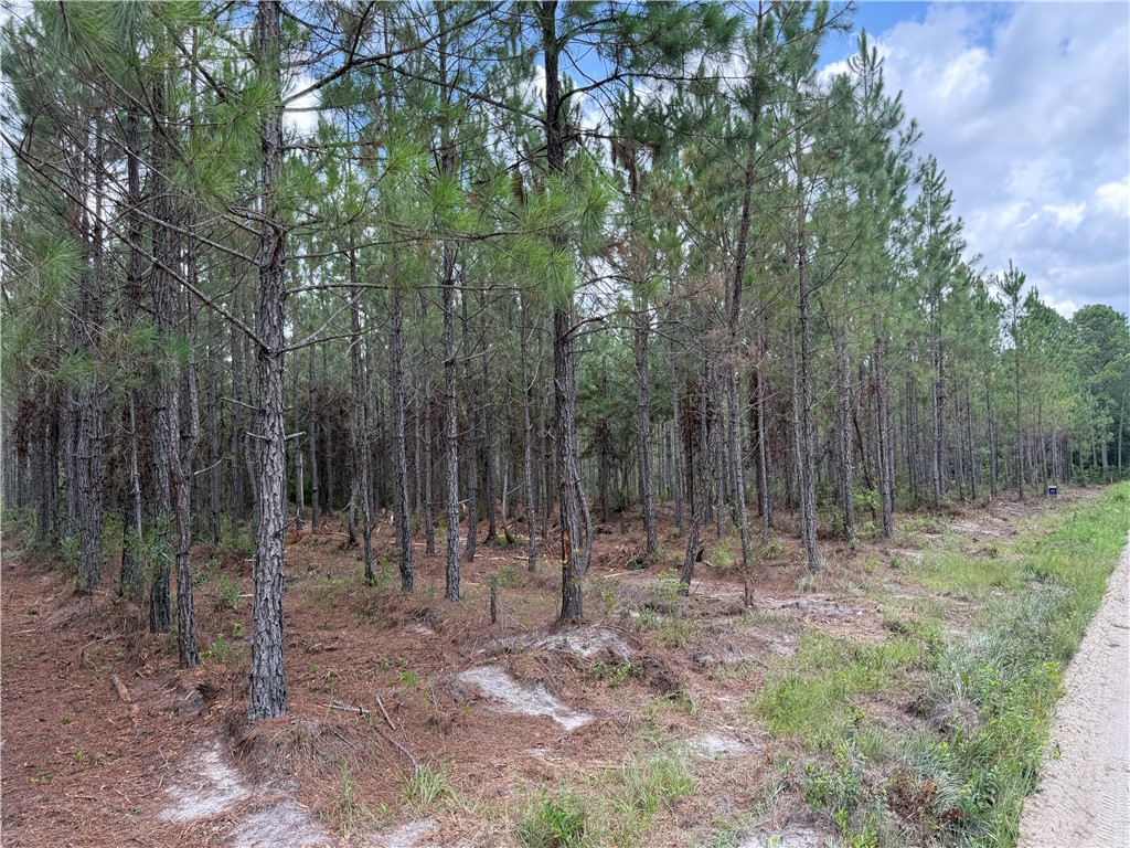 2 Corbitt Road Manor, GA 31550 - Photo 7 of 7