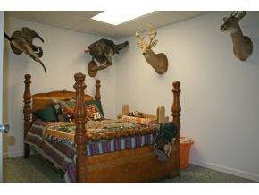 331 Old Stagecoach Road Jonesborough, TN 37659 - Photo 15 of 22 Lower Level Bedroom