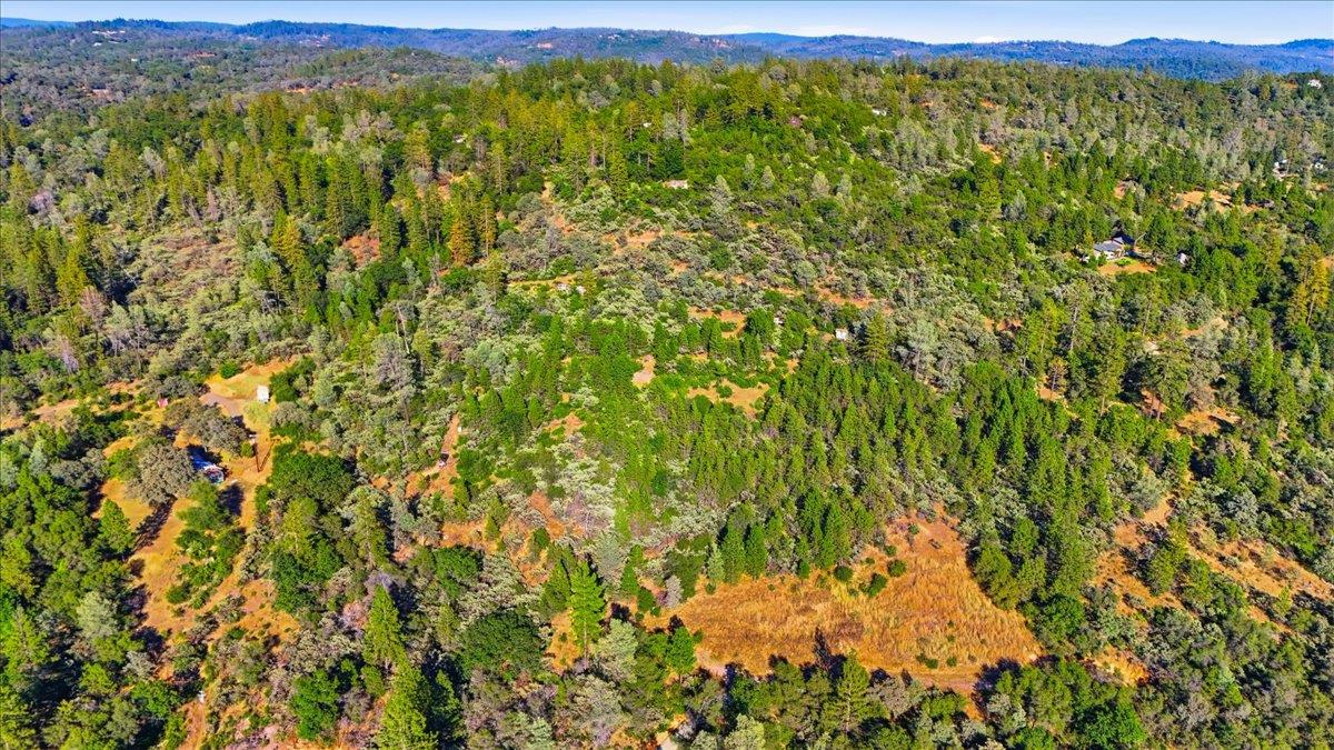 17436 Black Forest Road Penn Valley, CA 95946 - Photo 3 of 36