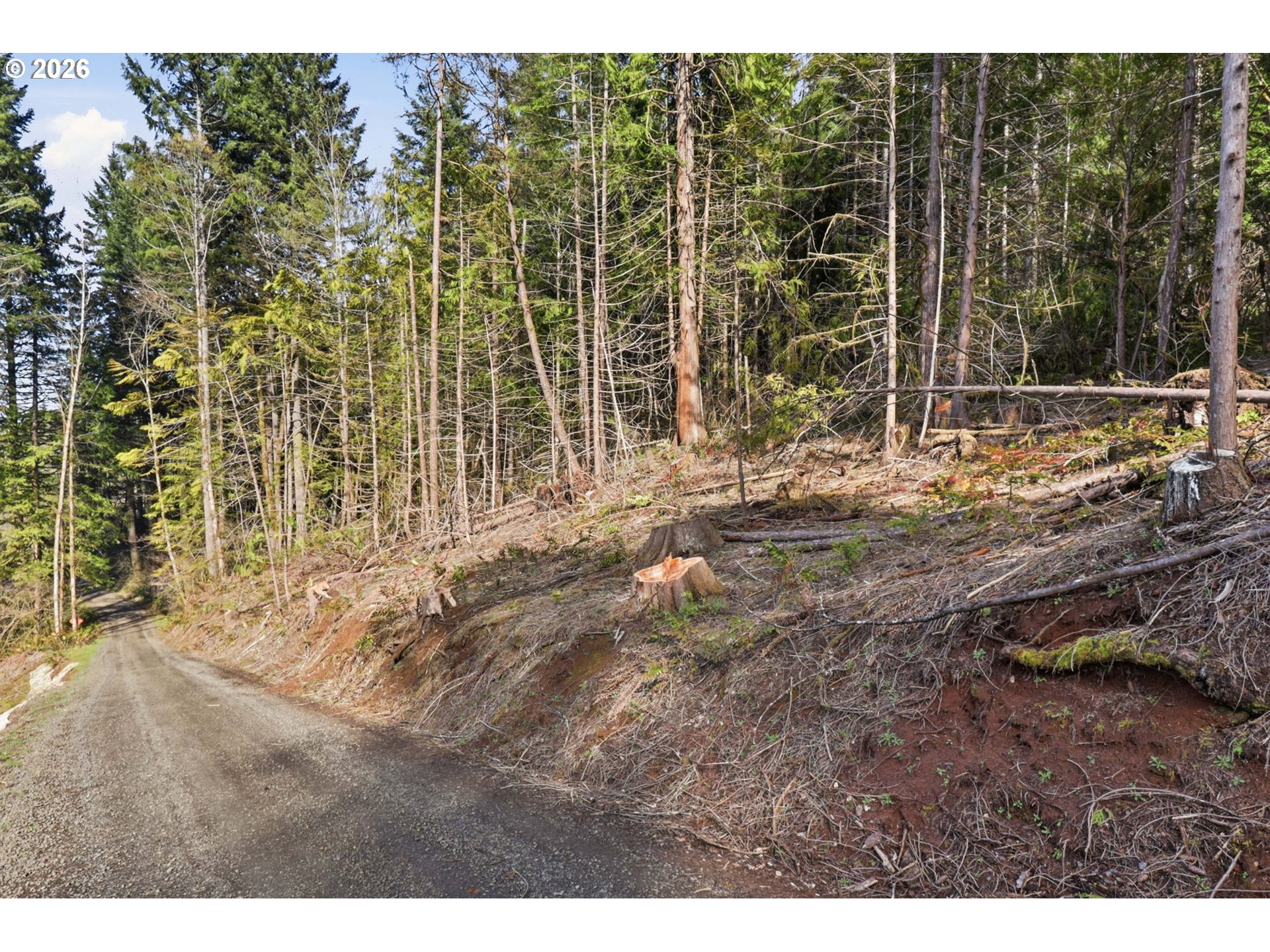 0 Northwest Green Mountain Road Banks, OR 97106 - Photo 32 of 36 a view of small yard