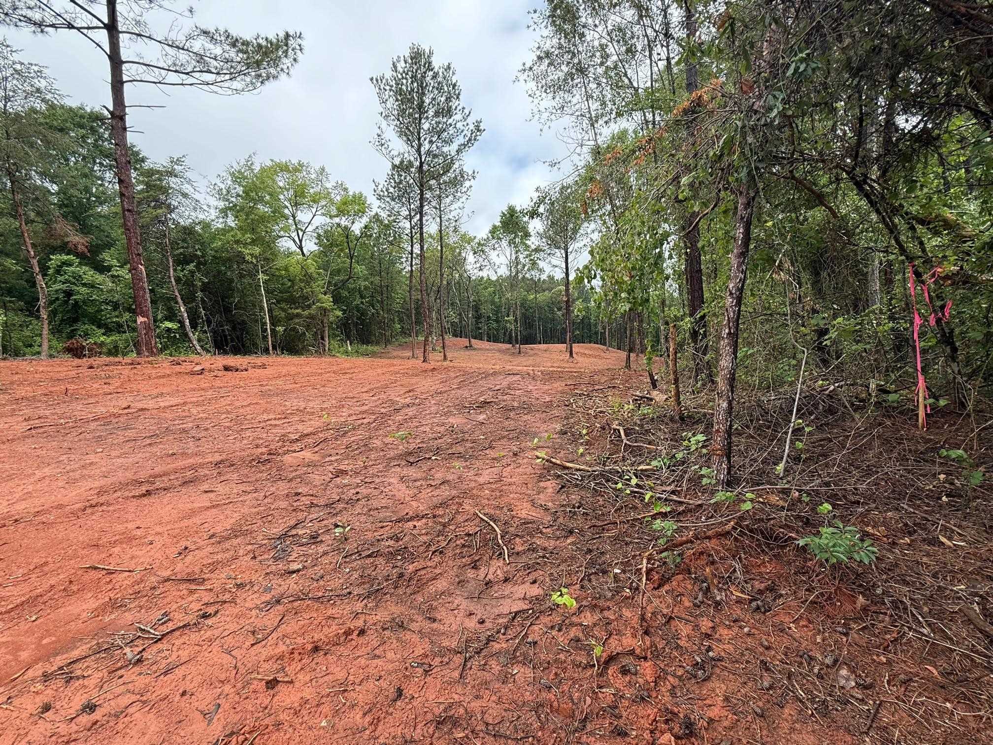 0 Ridgeville Church Road Inman, SC 29349 - Photo 2 of 14