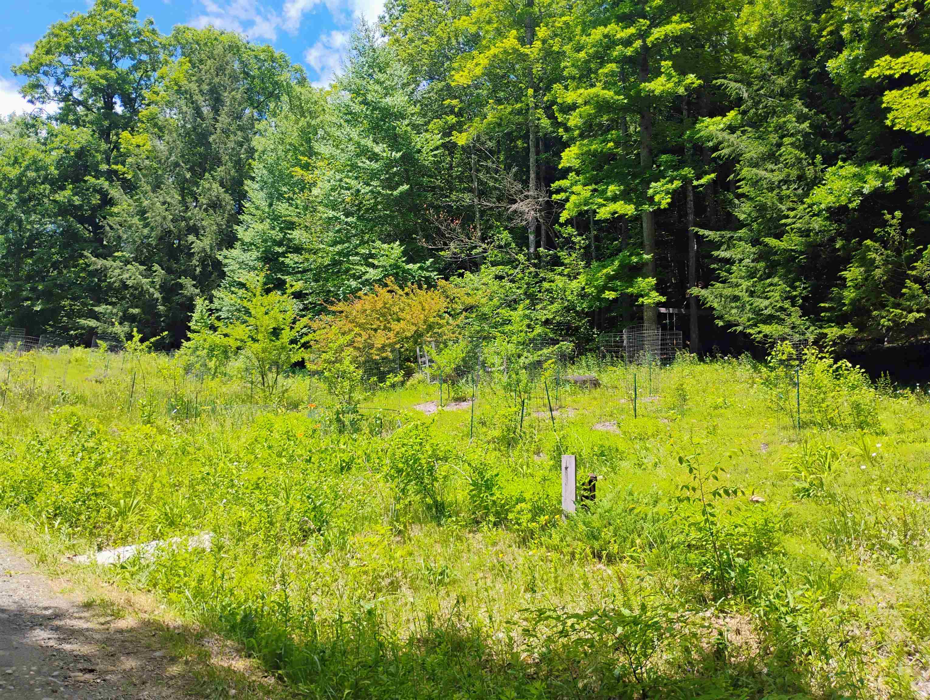 160 Akley Road Brattleboro, VT 05301 - Photo 7 of 40