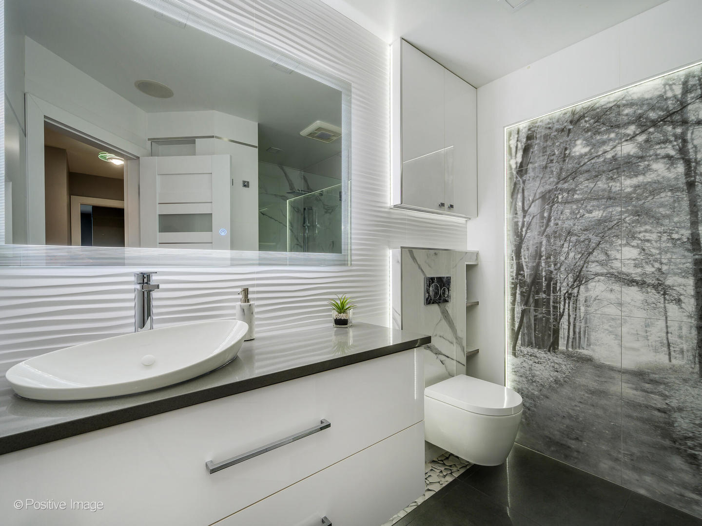 2008 Clematis Drive Algonquin, IL 60102 - Photo 13 of 25 a bathroom with a sink a toilet and a mirror