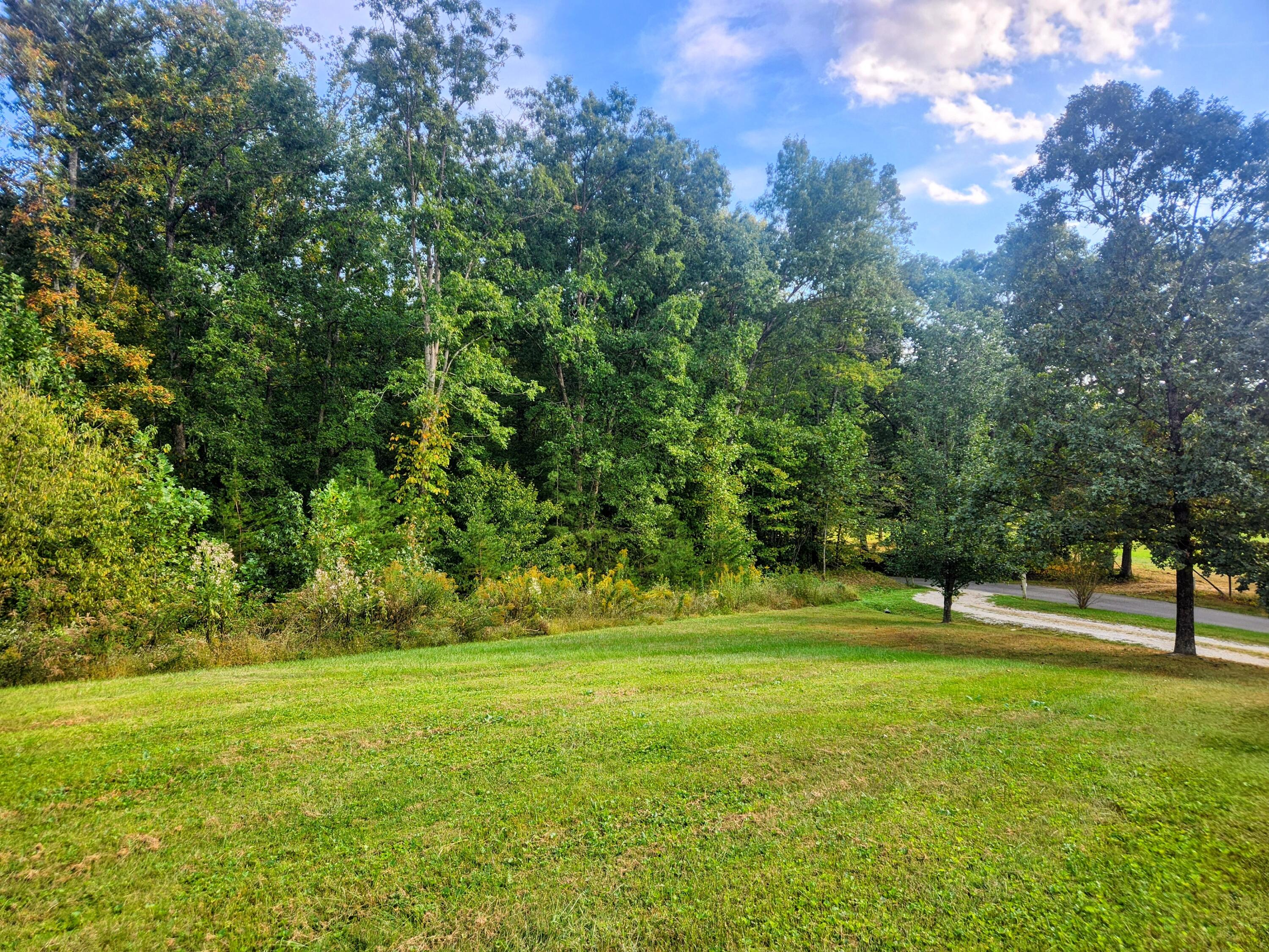 78 Lower Hatcher Creek Road Stanton, KY 40380 - Photo 4 of 45 005LowerHat
