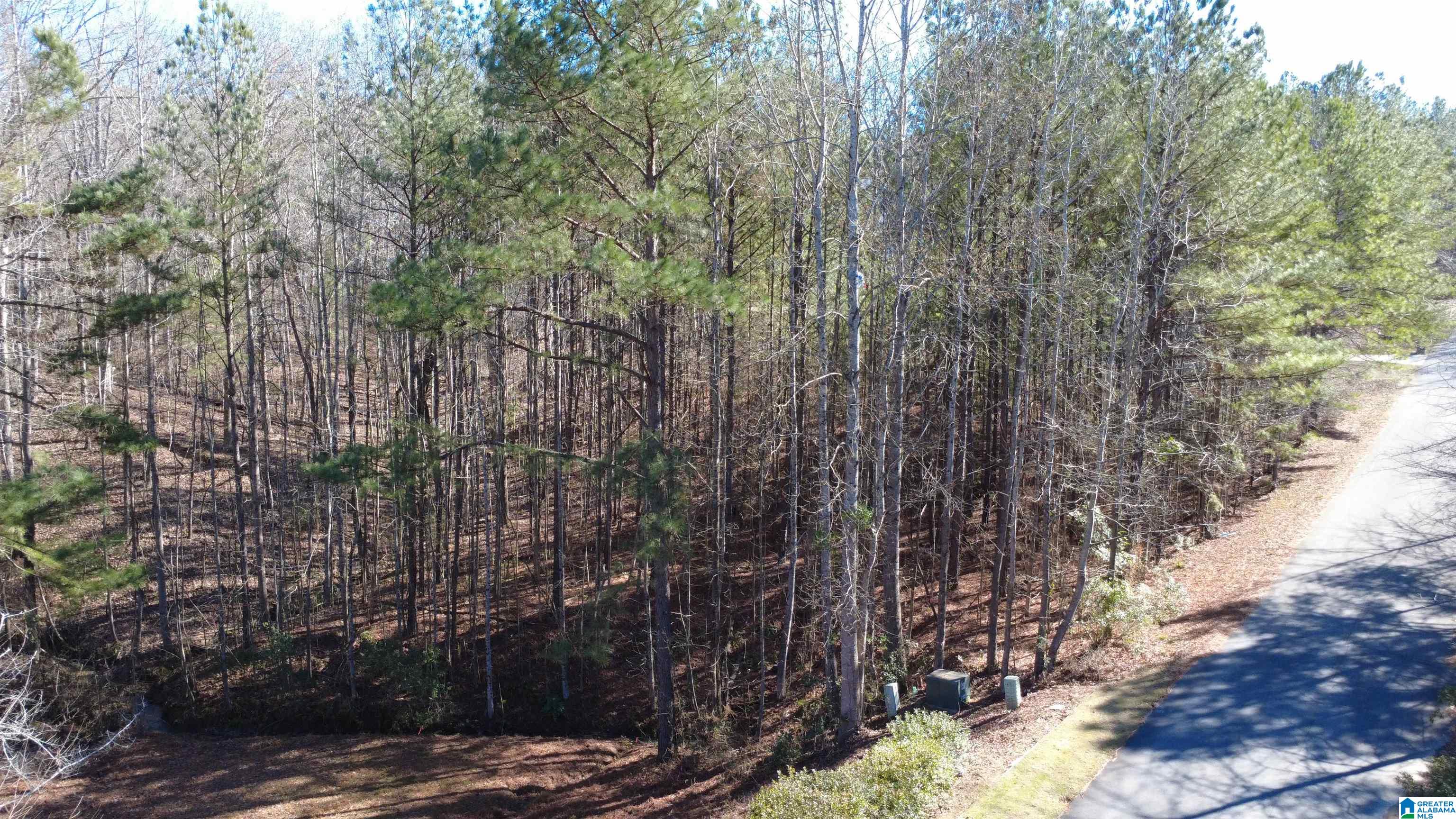 105 Hampton Lane, Unit 13 Pelham, AL 35124 - Photo 8 of 27