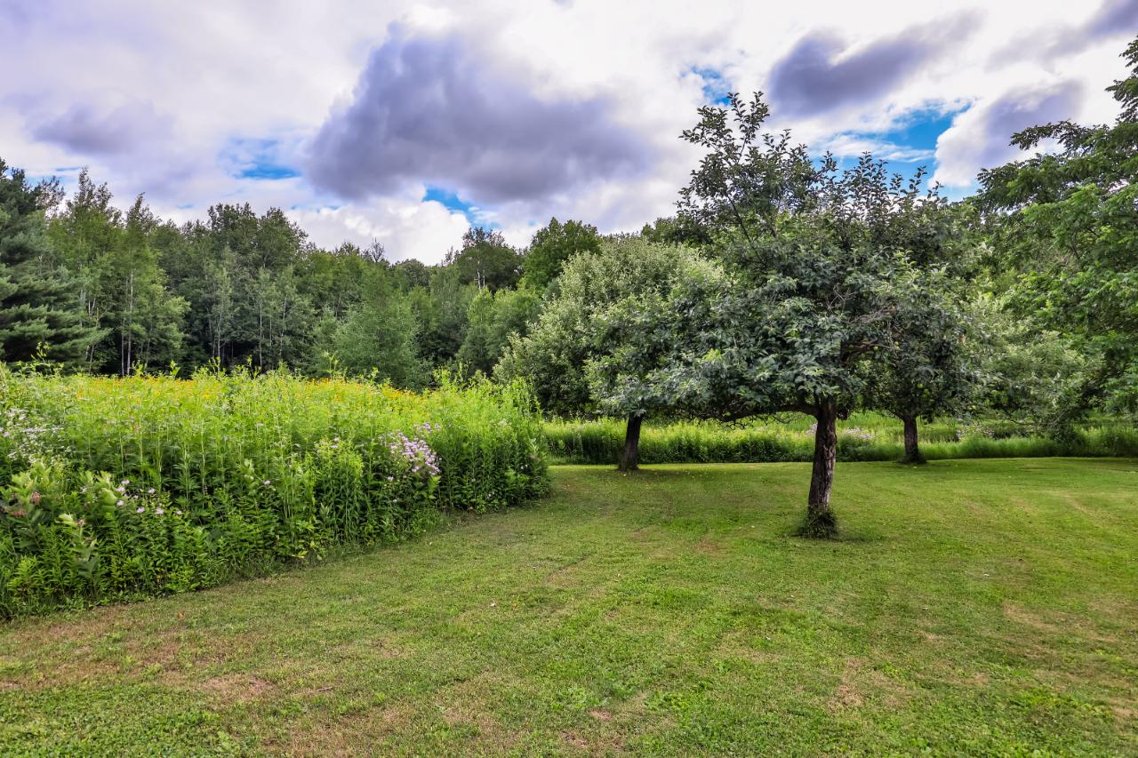 W710 Strucker Road Ogema, WI 54459 - Photo 63 of 82 Gallery Image 63