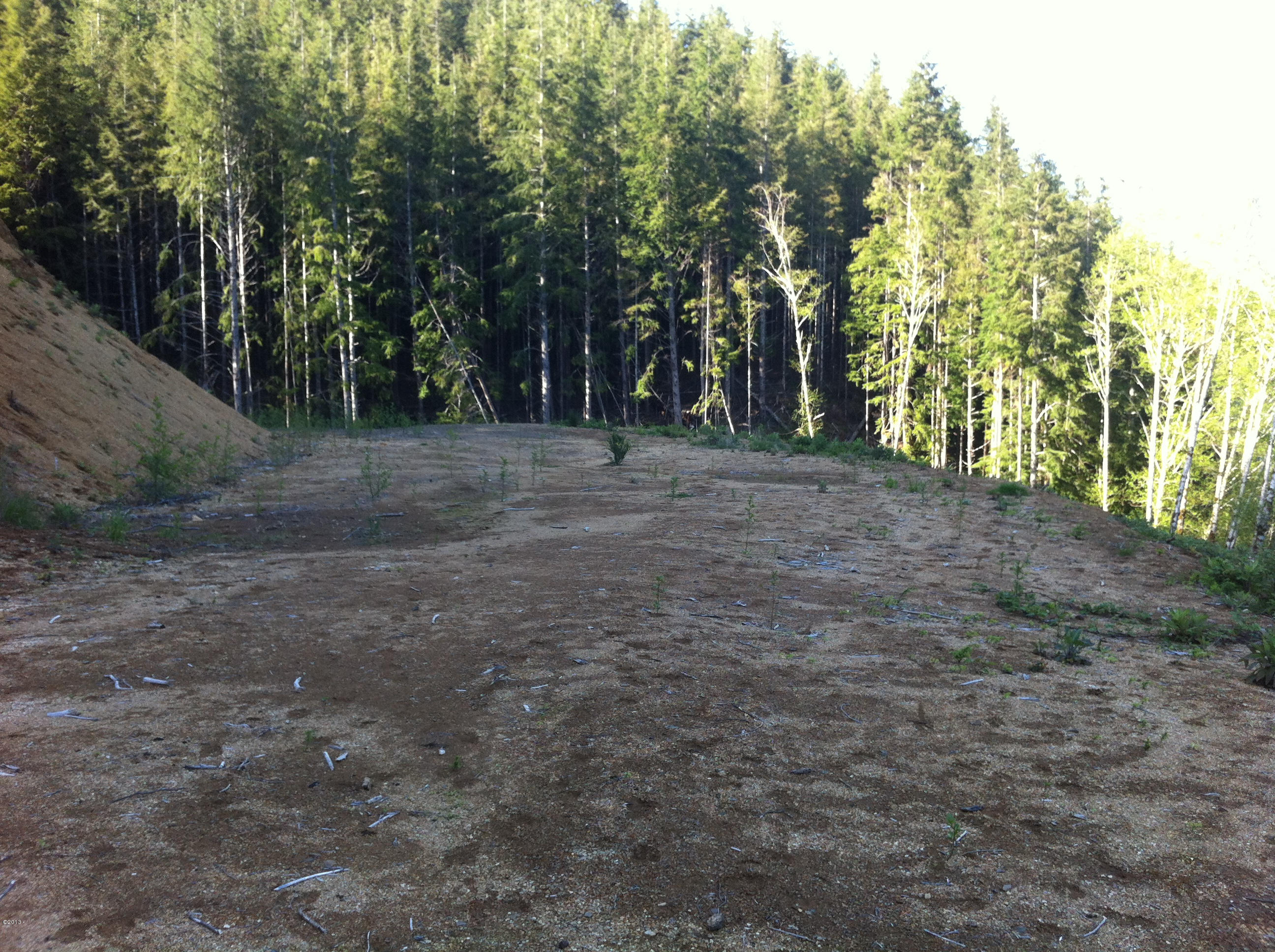 401 South Anderson Creek Road Lincoln City, OR 97367 - Photo 11 of 16 060