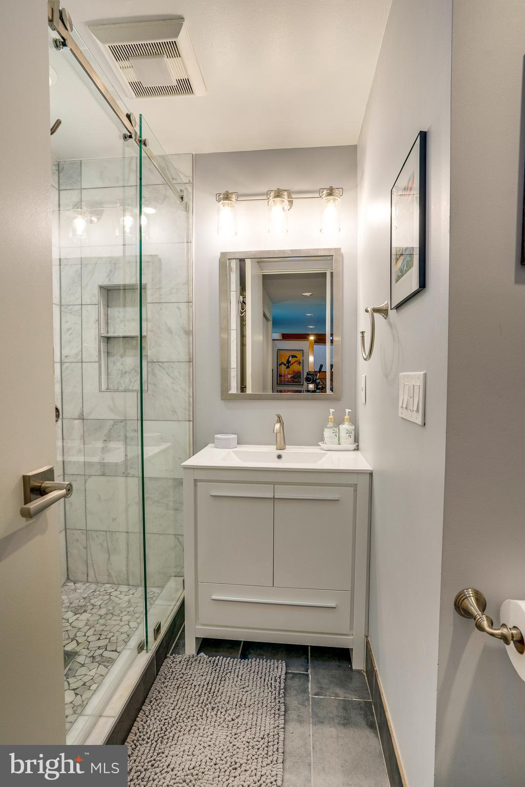 11405 Purple Beech Drive Reston, VA 20191 - Photo 44 of 72 a bathroom with a sink a mirror and shower
