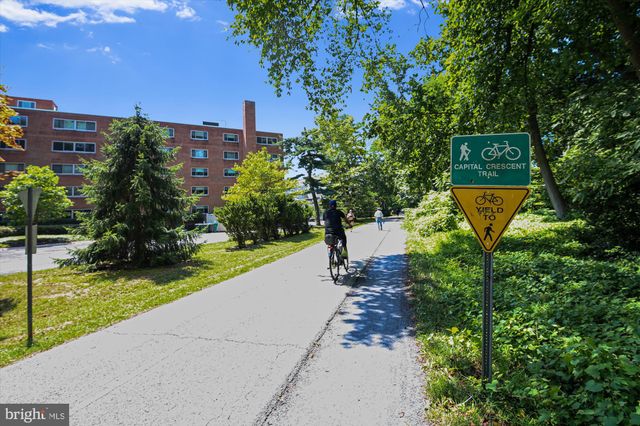 a view of a garden with a bench