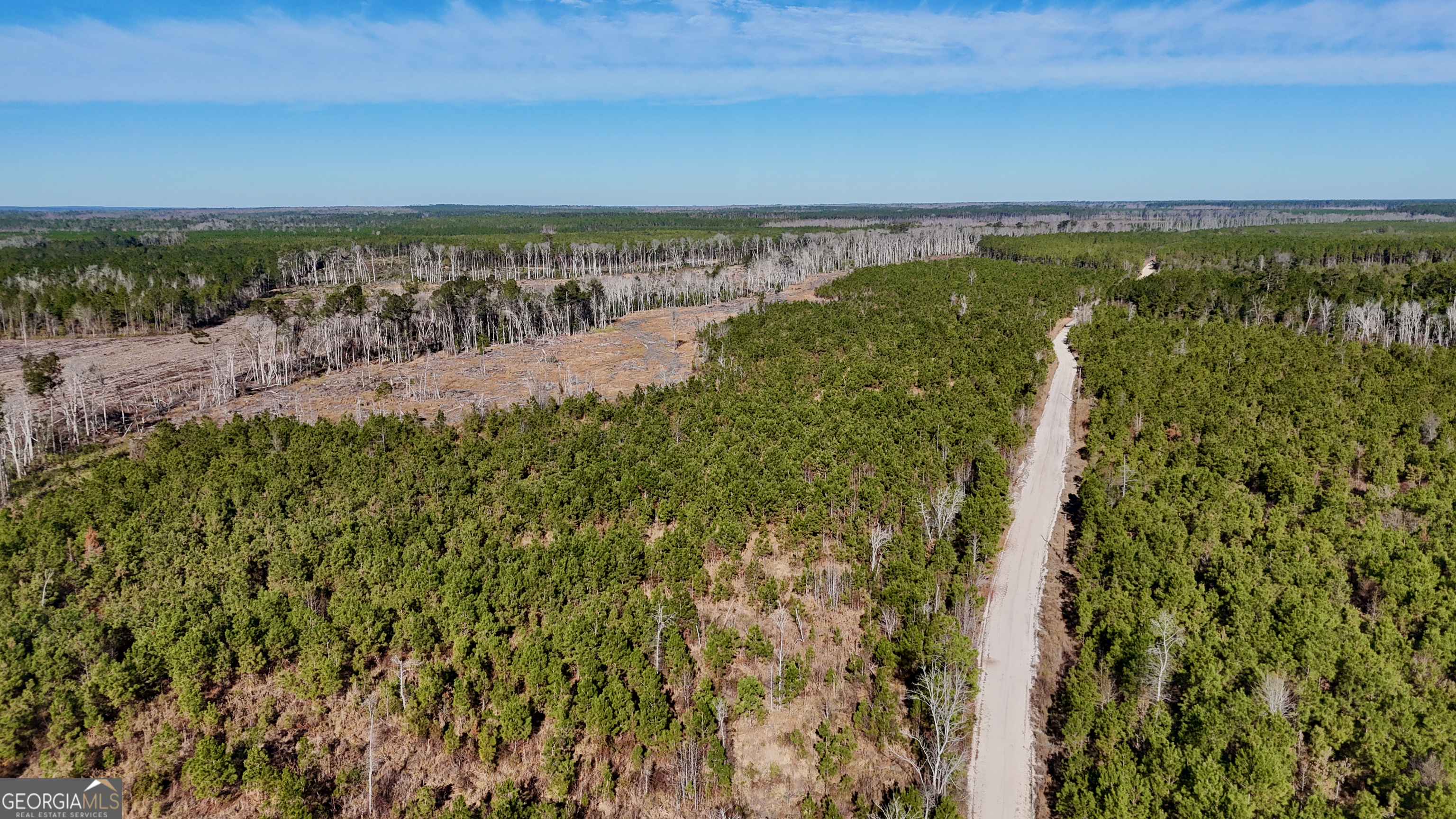 0 Tillman Cemetery Road Lumber City, GA 31549 - Photo 5 of 8