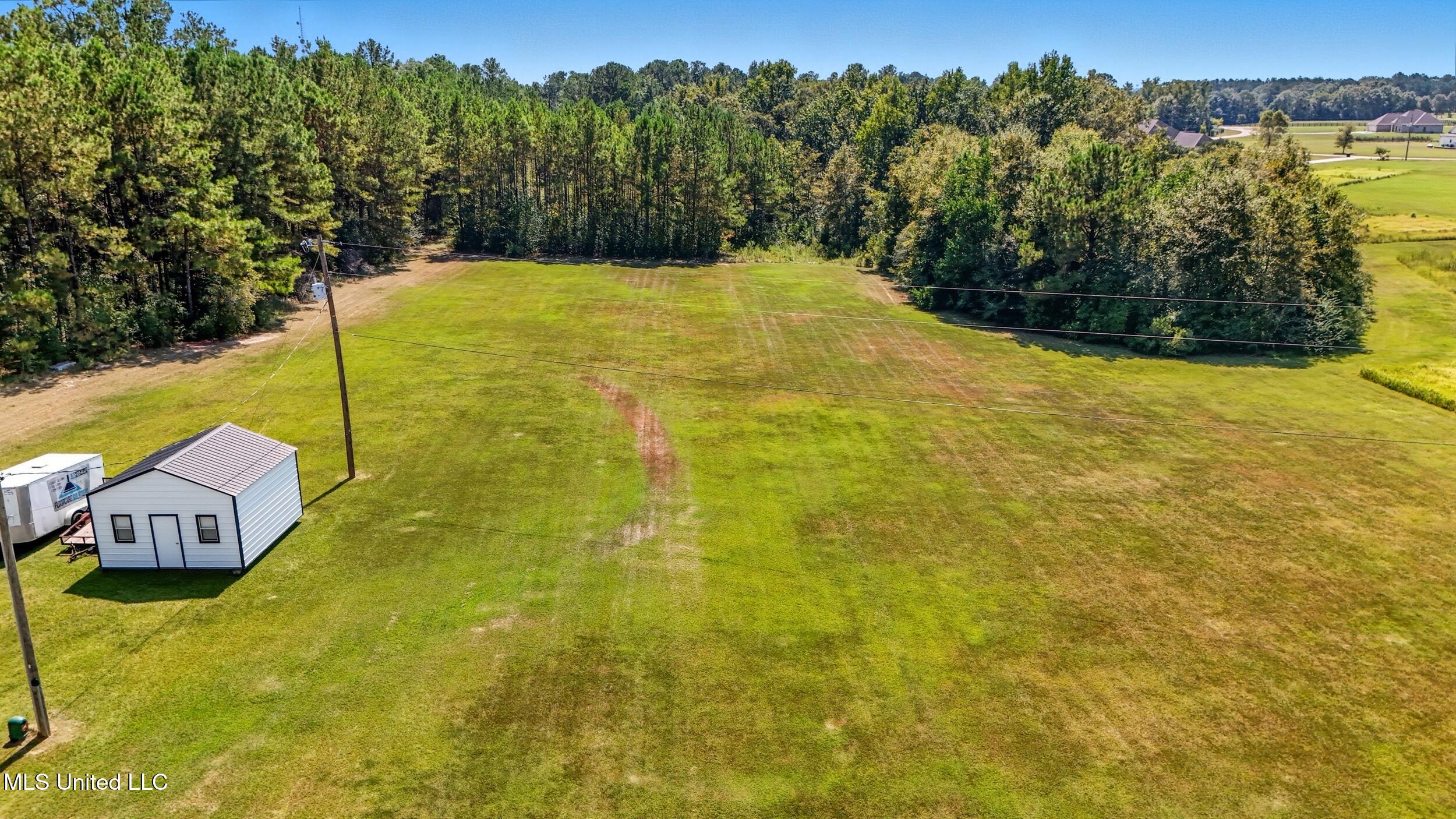 1204 Anchor Lake Road Carriere, MS 39426 - Photo 48 of 51 47_back yard