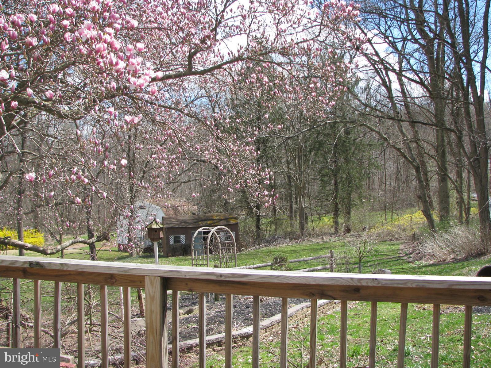 1310 South Cocalico Road Denver, PA 17517 - Photo 6 of 57 BACK YARD