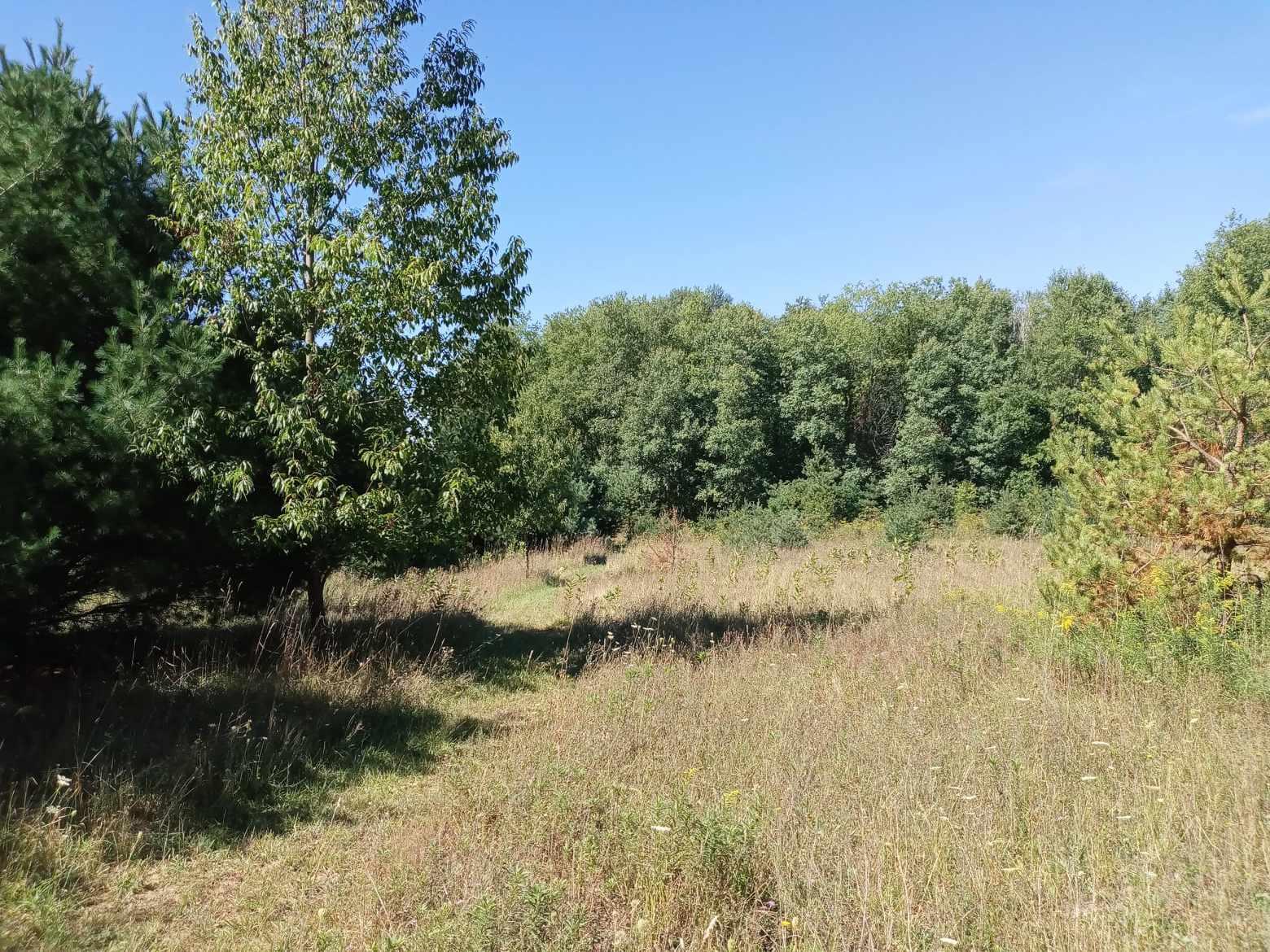735 West Buchanan Road Shelby, MI 49455 - Photo 67 of 67 received_702332761766317