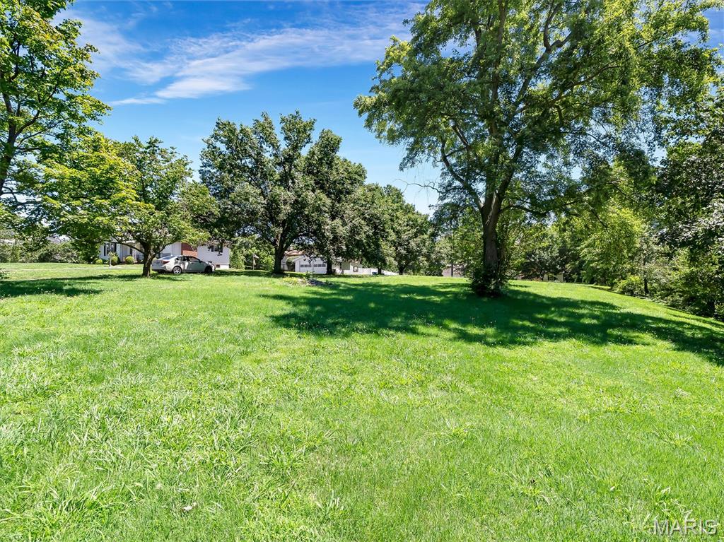 908 North Ballas Road St. Louis, MO 63131 - Photo 42 of 53