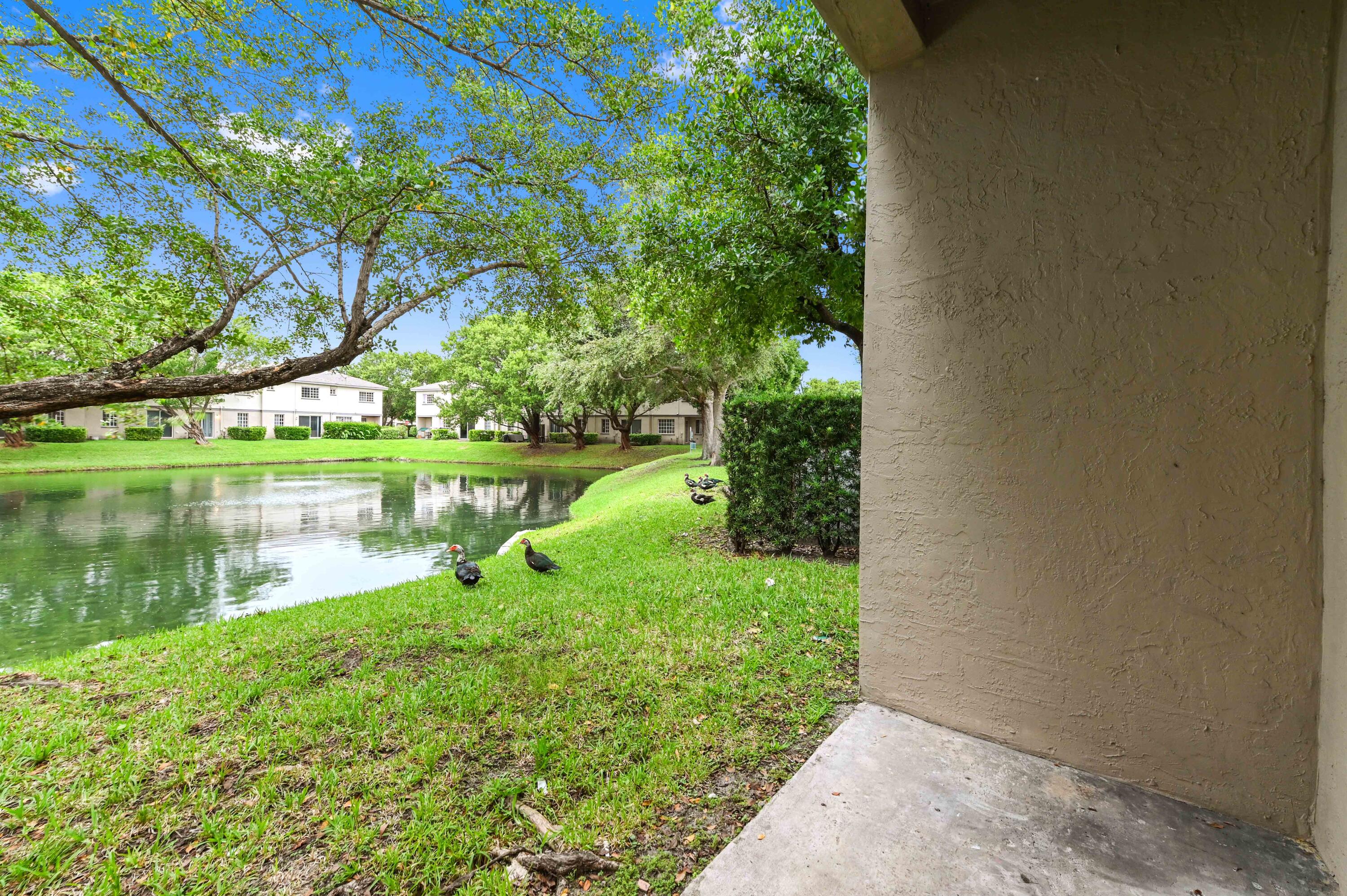 975 Tortuga Drive Riviera Beach, FL 33404 - Photo 25 of 29 a view of a lake with a big yard and large trees