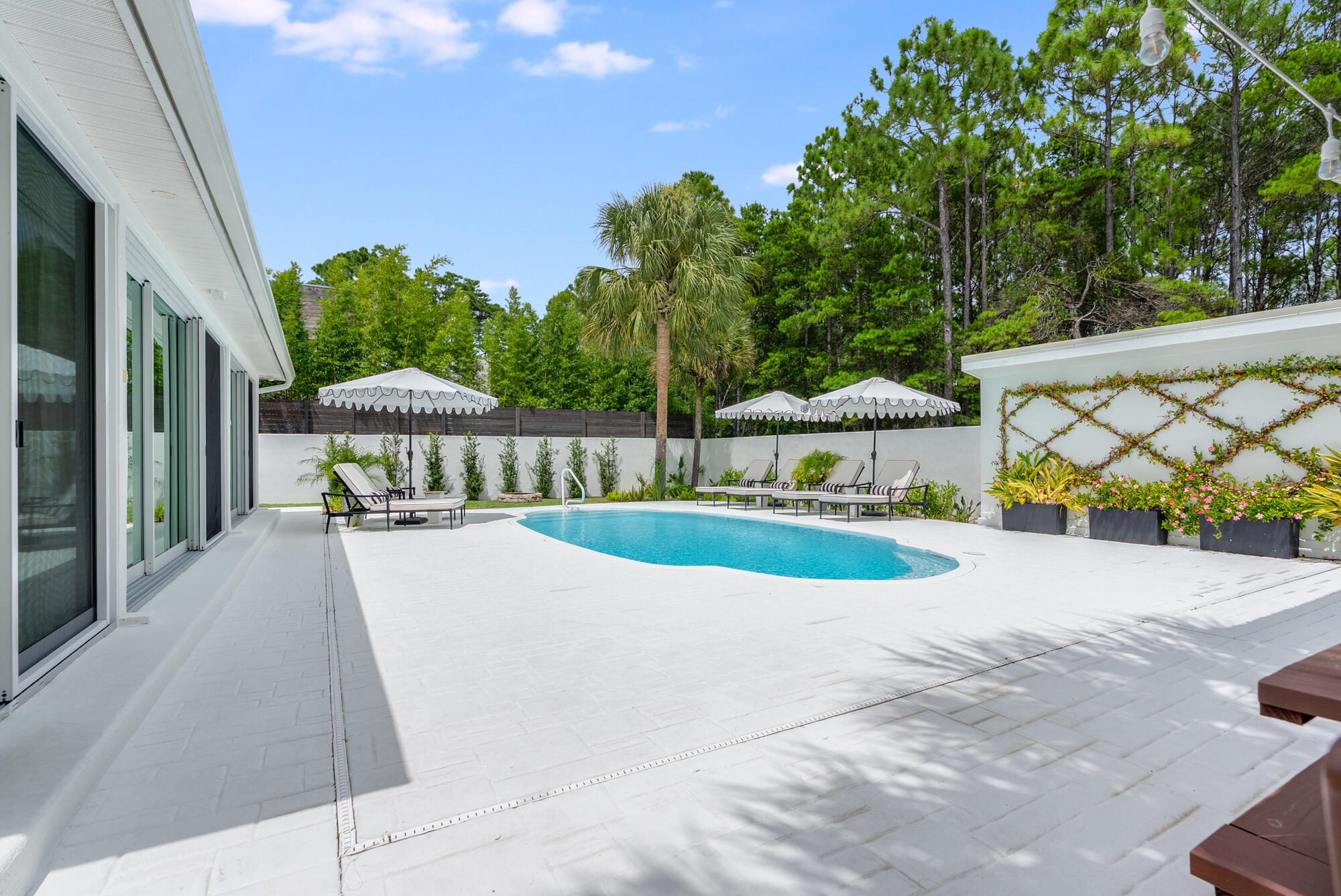 220 Seacrest Drive Inlet Beach, FL 32461 - Photo 48 of 52 48_beyc6a21d46c574e1
