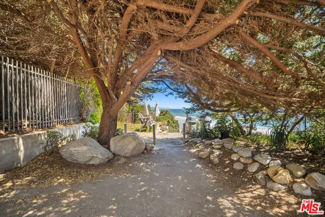 a view of a backyard with table and chairs and a large tree