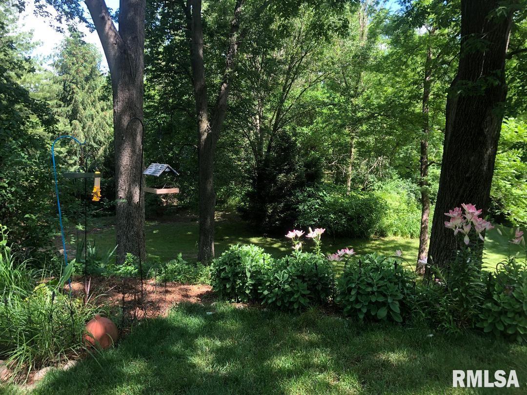 9098 Swigert Road Rochester, IL 62563 - Photo 24 of 25