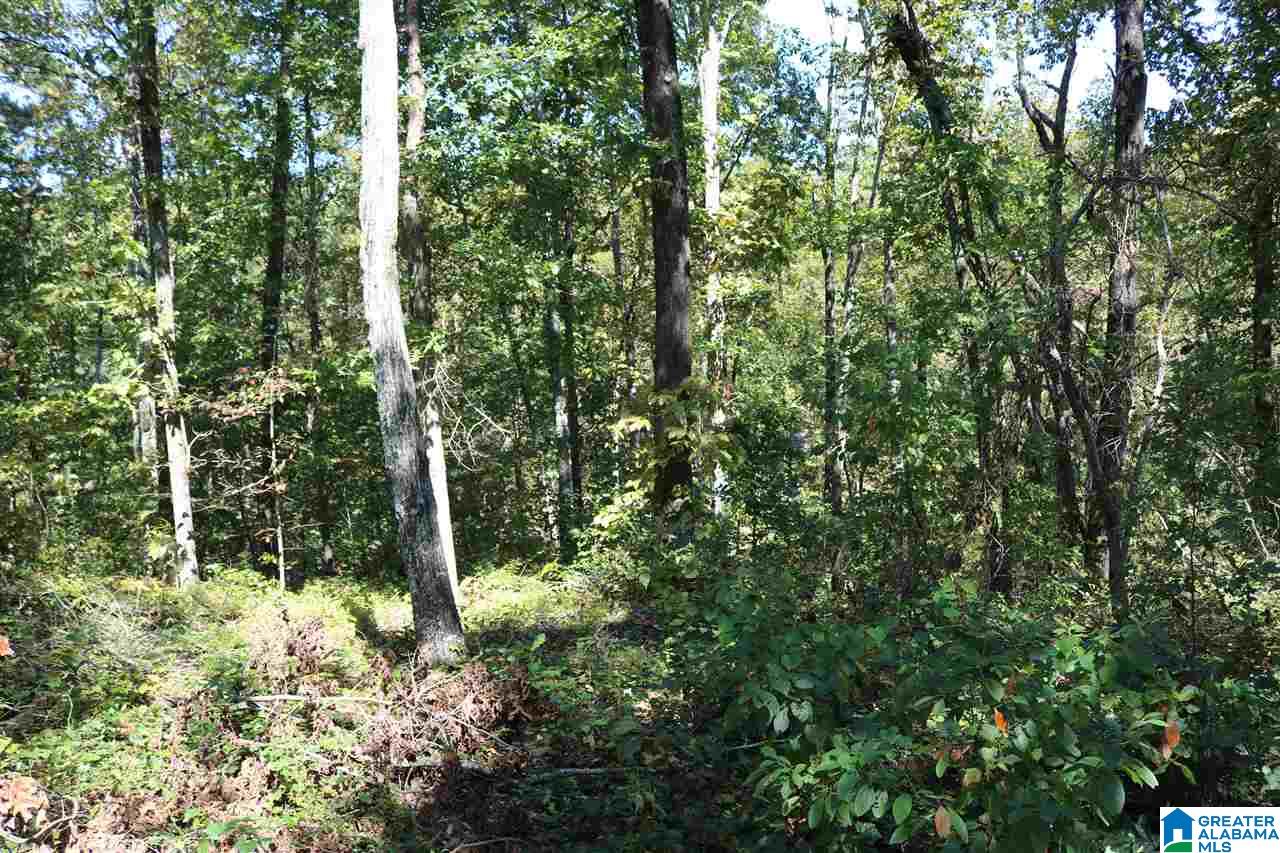 42 Fishers Way, Unit 42 Vincent, AL 35178 - Photo 3 of 4