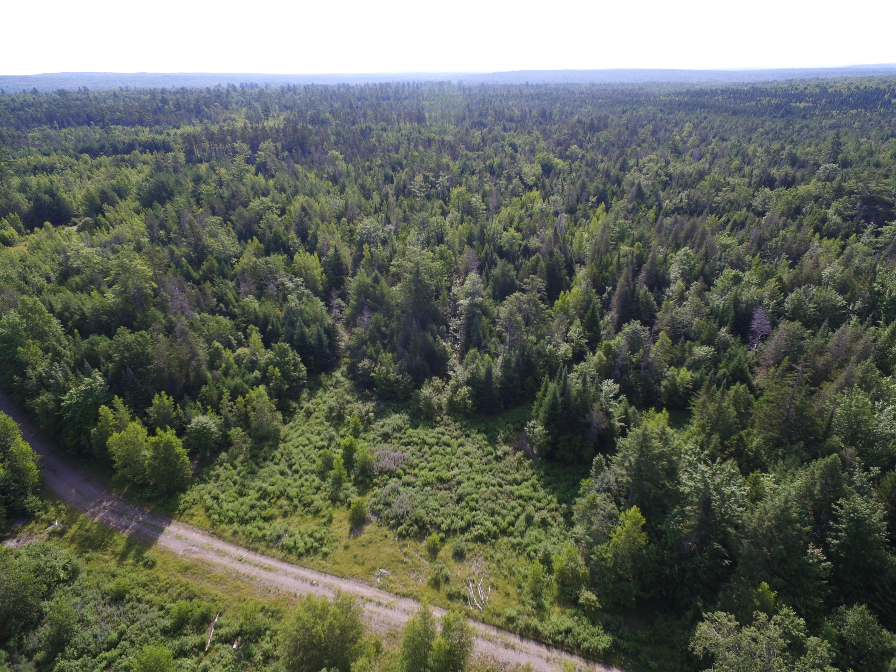 Tbd West Tbd W Indian Road Lincoln, ME 04457 - Photo 9 of 18 DJI_0468