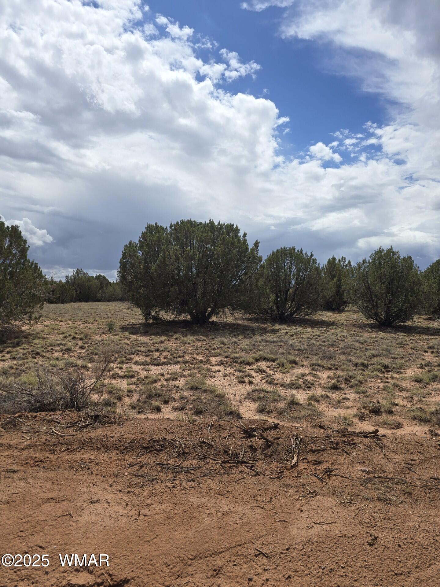 4979 Tharp Road Snowflake, AZ 85937 - Photo 4 of 19