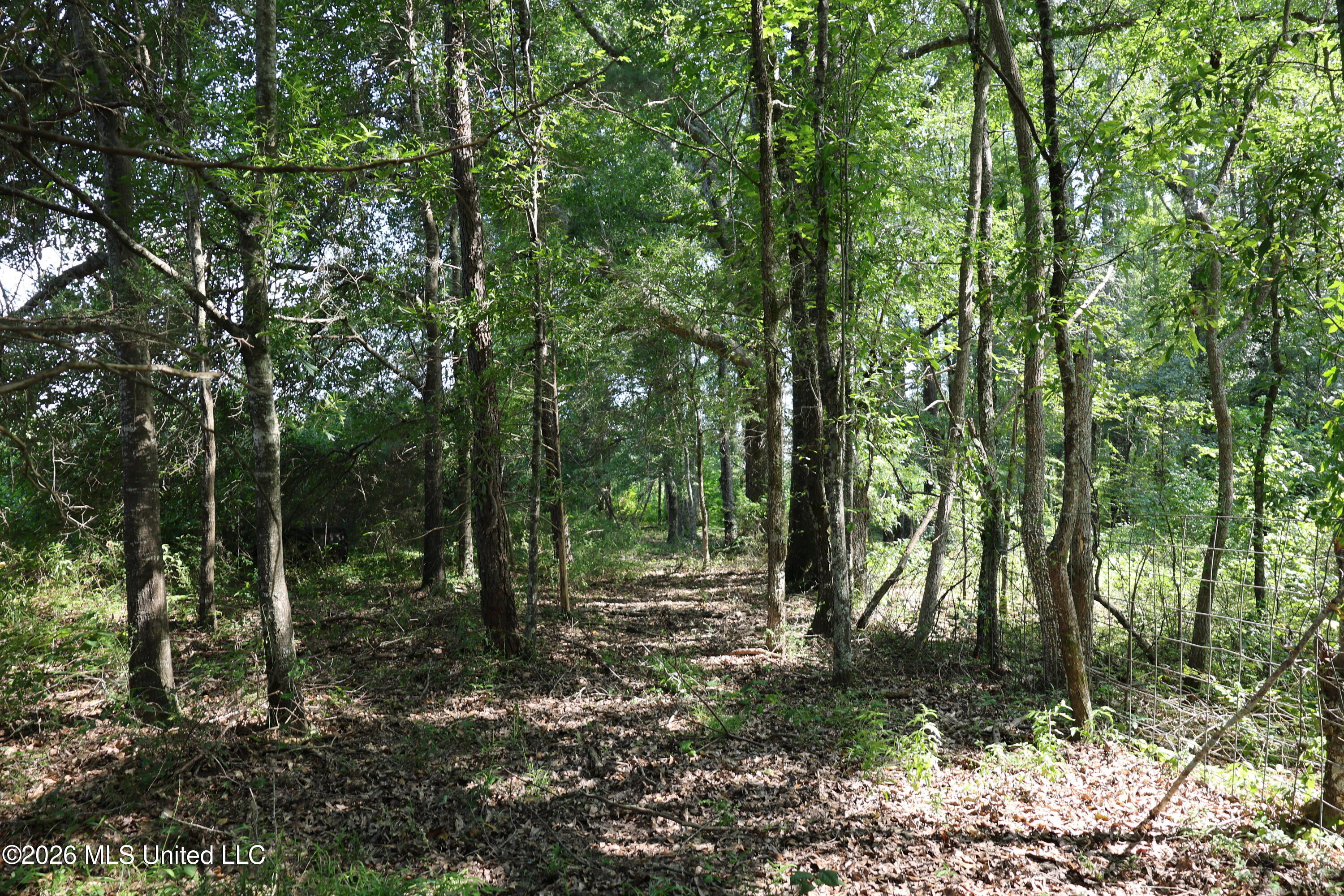 149 Gober Road Camden, MS 39045 - Photo 7 of 26 IMG_8281