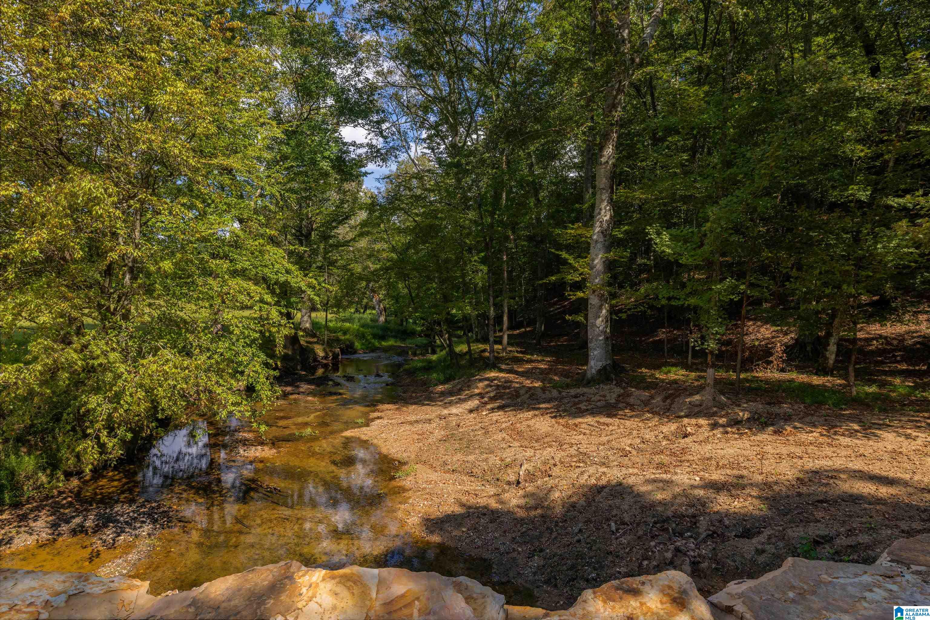 3124 County Road 39 Oneonta, AL 35121 - Photo 85 of 98