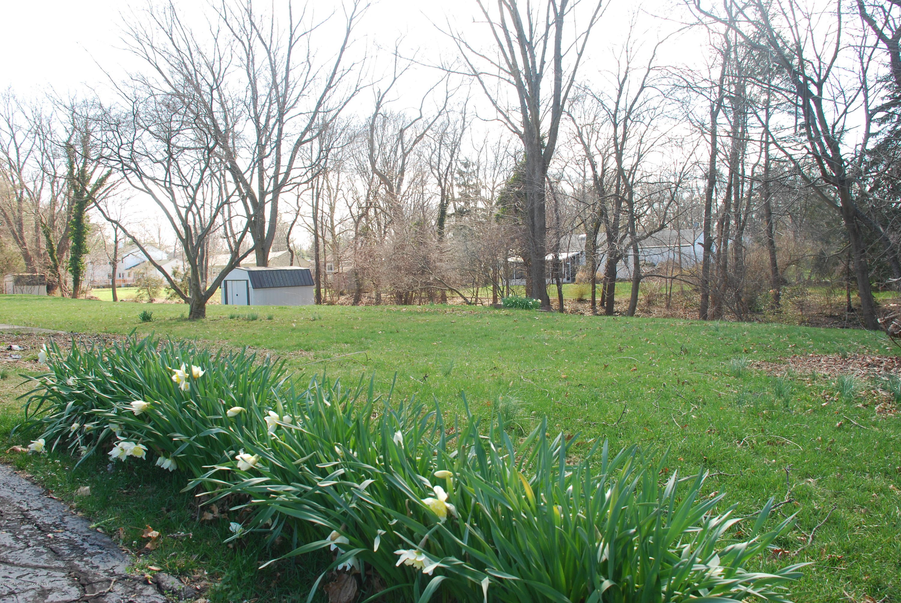 5 Fairmount Road Holmdel, NJ 07733 - Photo 18 of 19 a view of a backyard with large trees