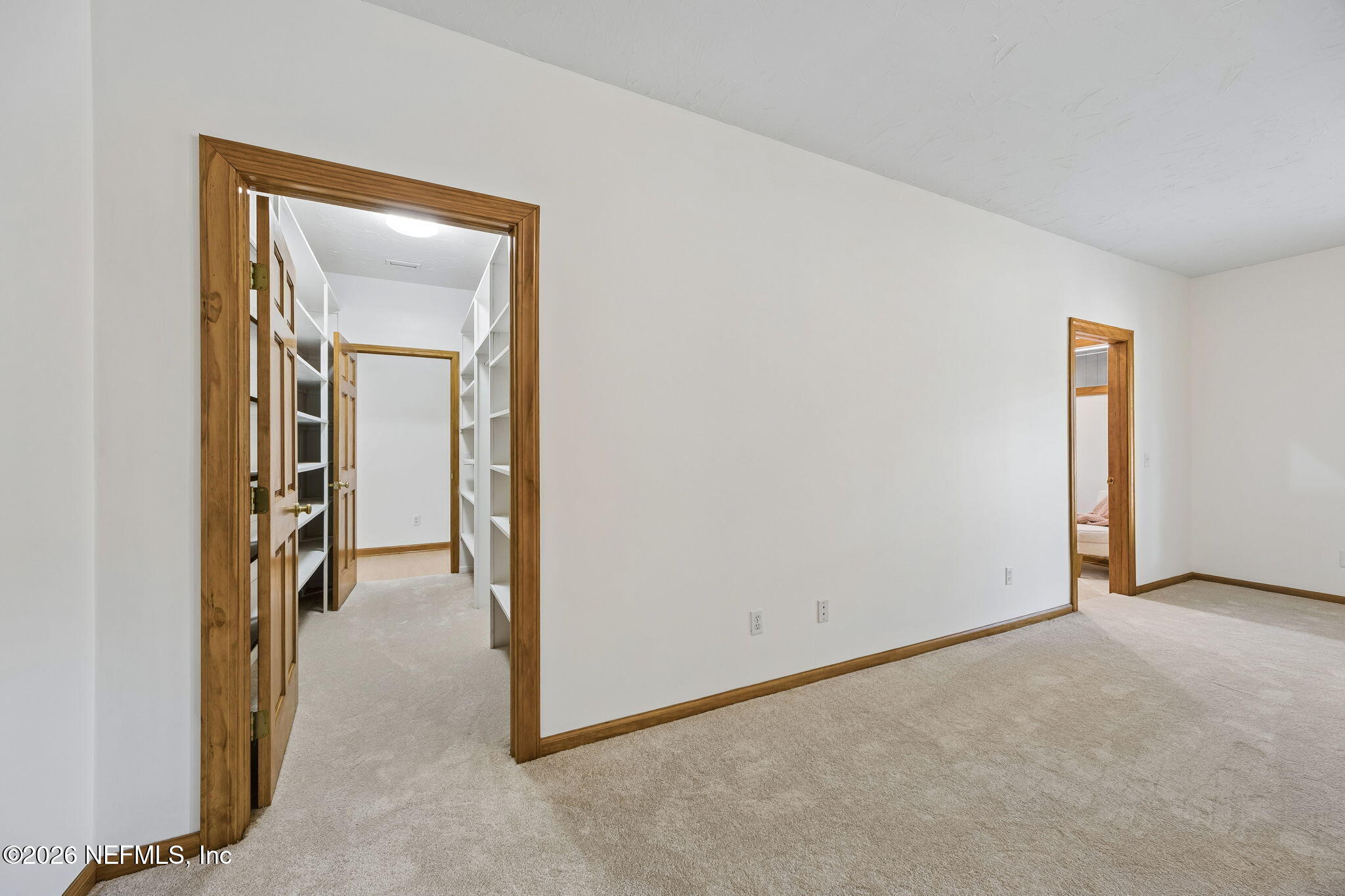 2538 Halperns Way Middleburg, FL 32068 - Photo 28 of 66 Office Walk-In Closet