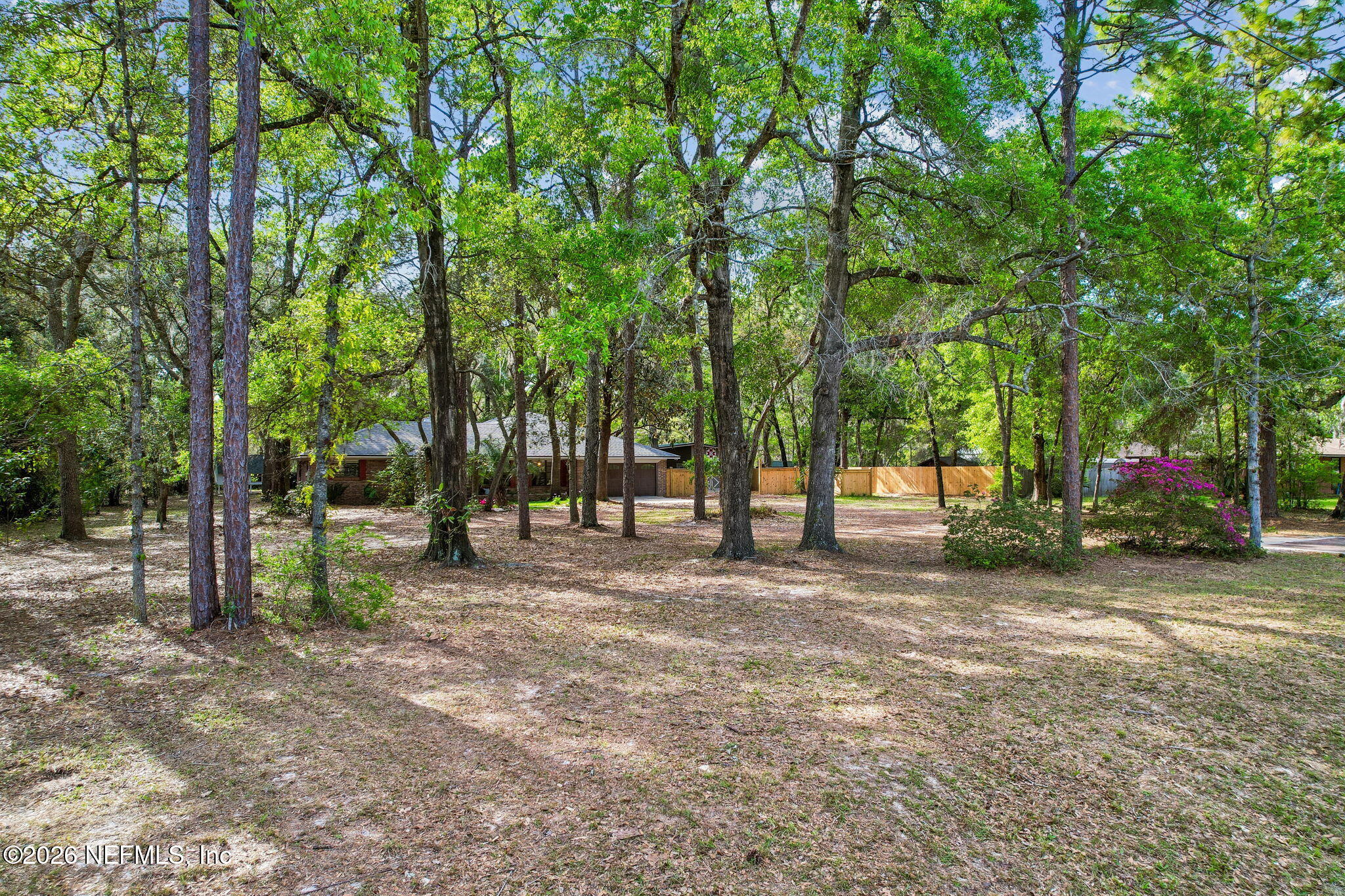2538 Halperns Way Middleburg, FL 32068 - Photo 60 of 66 a view of a park with large trees